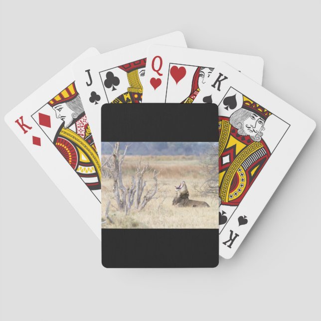 Yawning lion playing cards (Back)