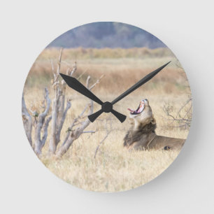 Yawning lion round clock