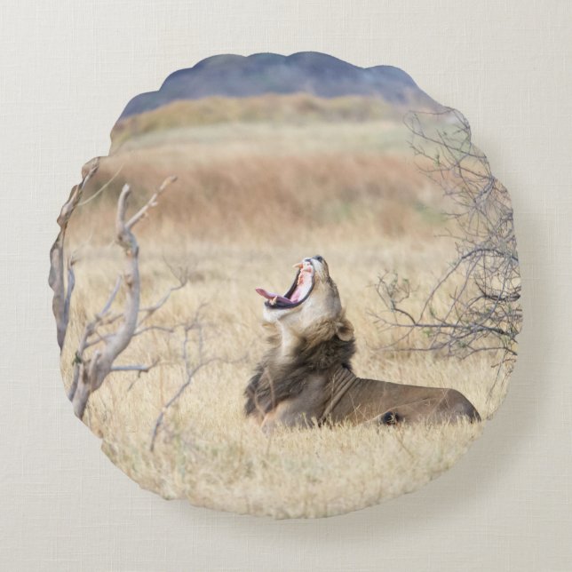 Yawning lion round cushion (Front)