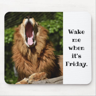 Yawning Lion- Wake me when its friday Mouse Mat