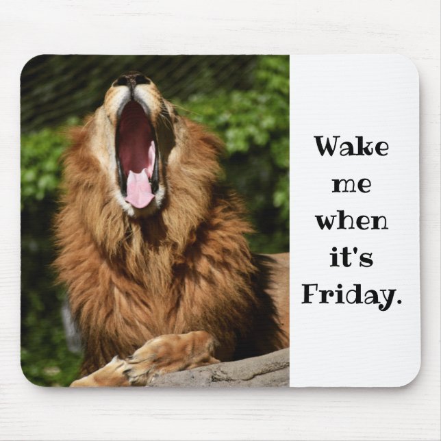 Yawning Lion- Wake me when its friday Mouse Mat (Front)