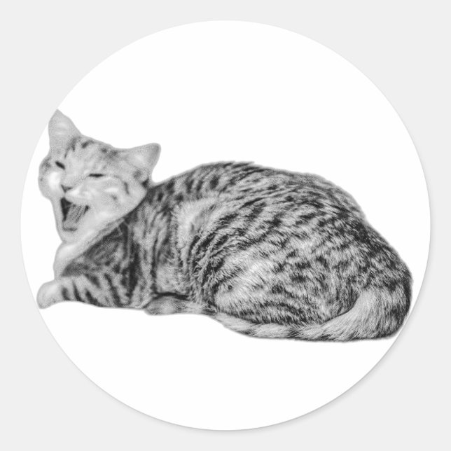 Yawning Tabby Cat Monochrome Sticker (Front)