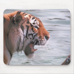 Yawning Tiger in Water Mouse Mat