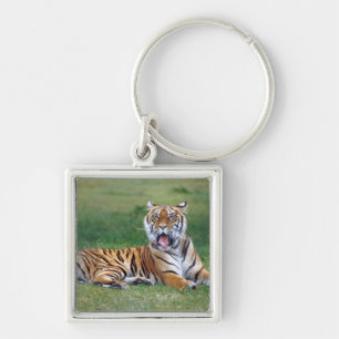Yawning Tiger Key Ring