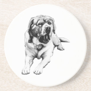 Yawns at the Table Coaster