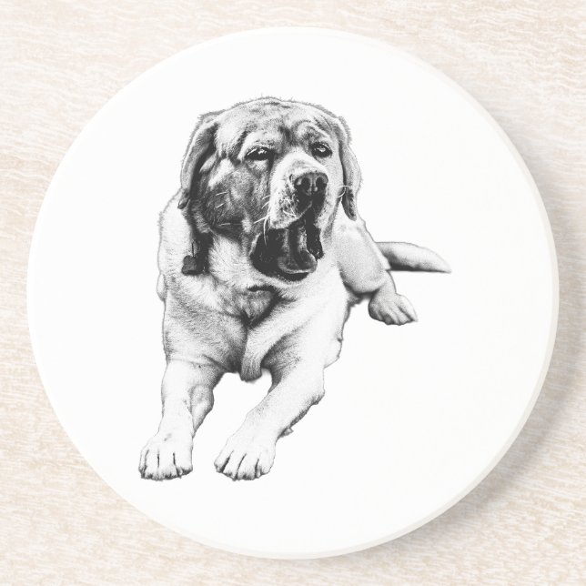 Yawns at the Table Coaster (Front)