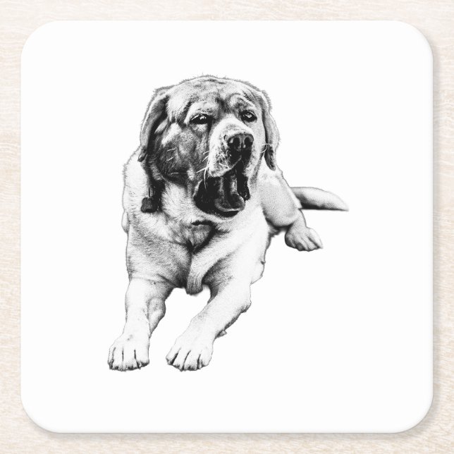 Yawns at the Table Square Paper Coaster (Front)