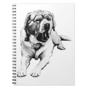 Yawns Between Notes Notebook
