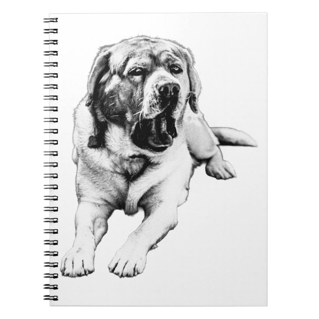 Yawns Between Notes Notebook (Front)