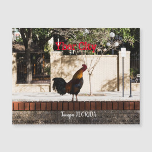 Ybor City, Tampa FLORIDA 