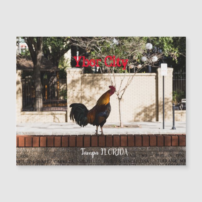 Ybor City, Tampa FLORIDA  (Front)