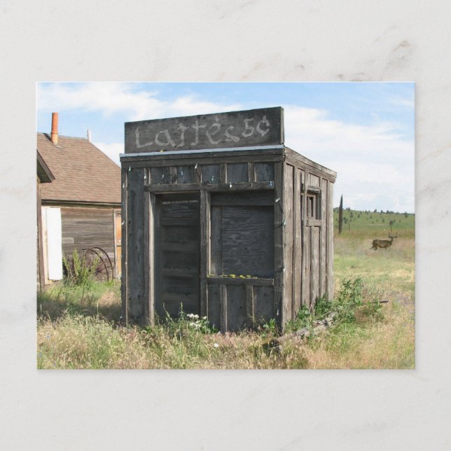 Ye Olde Latte Shoppe Postcard (Front)