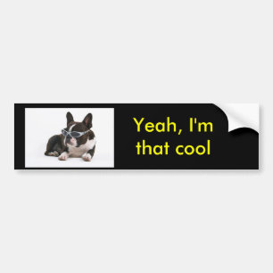 Yeah, I'm that cool bumper sticker