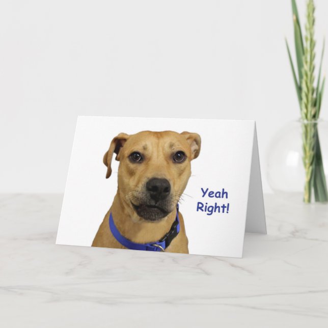 Yeah Right Dog Birthday Card (Front)
