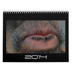 Year In  Year Out Calendar
