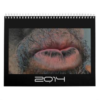 Year In Year Out Calendar