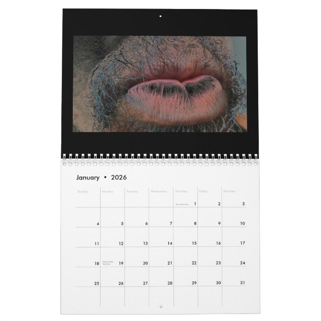 Year In  Year Out Calendar (Jan 2026)