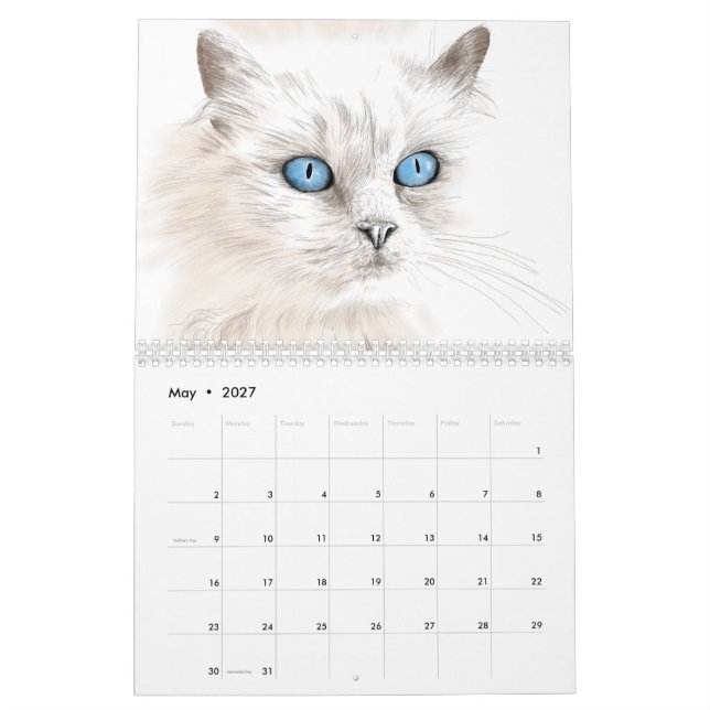 Year of the cat calendar of cat drawings (May 2027)