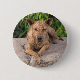 Year of the Dog 6 Cm Round Badge
