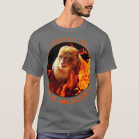 Year of the Fire Monkey   - 1 