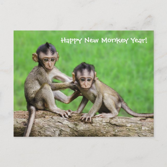 Year Of The Fire Monkey Postcard (Front)