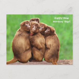 Year Of The Fire Monkey Postcard