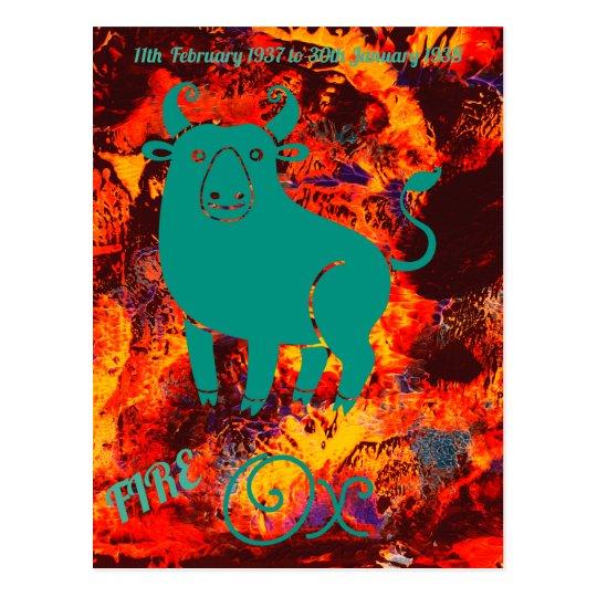 "Year of the Fire Ox" postcard Zazzle.co.uk