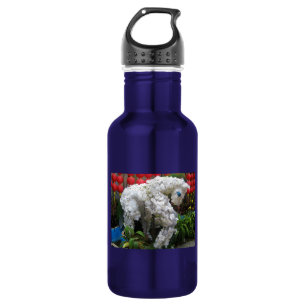 Year of the Horse   春節馬 ... Chinese Flower Topiary 532 Ml Water Bottle