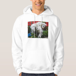 Year of the Horse 春節馬 ... Chinese Flower Topiary Hoodie
