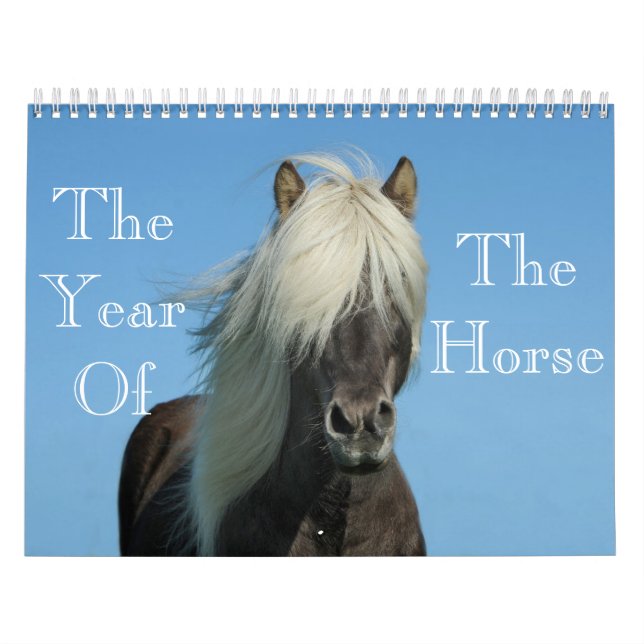 Year Of The Horse Calendar (Cover)