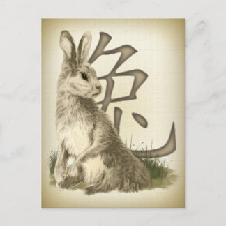 Year Of The Rabbit Chinese New Year Holiday Postcard