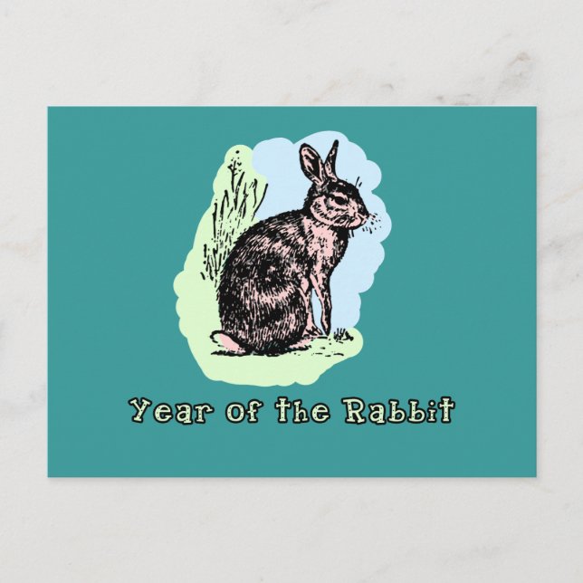 Year of the Rabbit Pastel Tshirt, Mug, Card, Gift Holiday Postcard (Front)