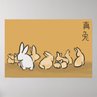 Year of the Rabbit Poster