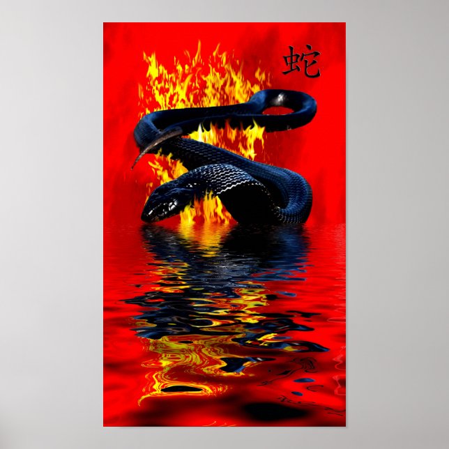 Year of the Snake Black Snake Chinese New Year Poster (Front)