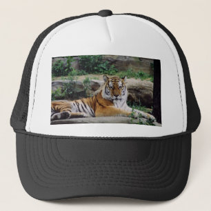 Year of the Tiger Trucker Hat
