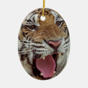 Year of Tiger Ornament