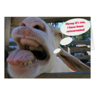 Yee Haw Goat - cards