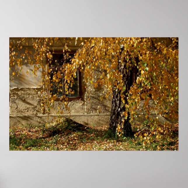 yelllow leaves poster (Front)