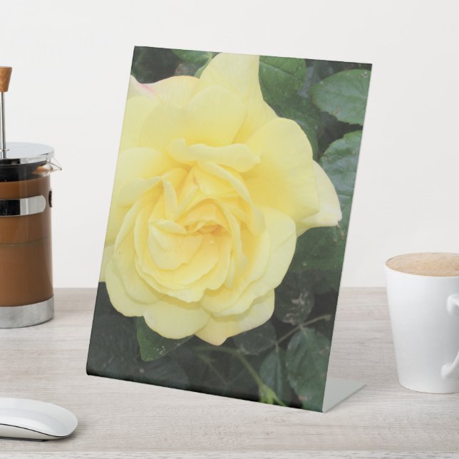 Yello Rose Pedestal Sign (In SItu)