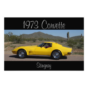 Yellow 1973 Corvette Stingray Photo Print