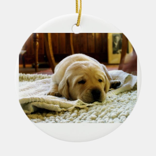 yellow 2 lab puppy ceramic tree decoration (Front)