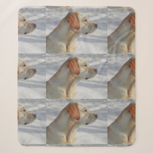 yellow 4 lab sherpa blanket