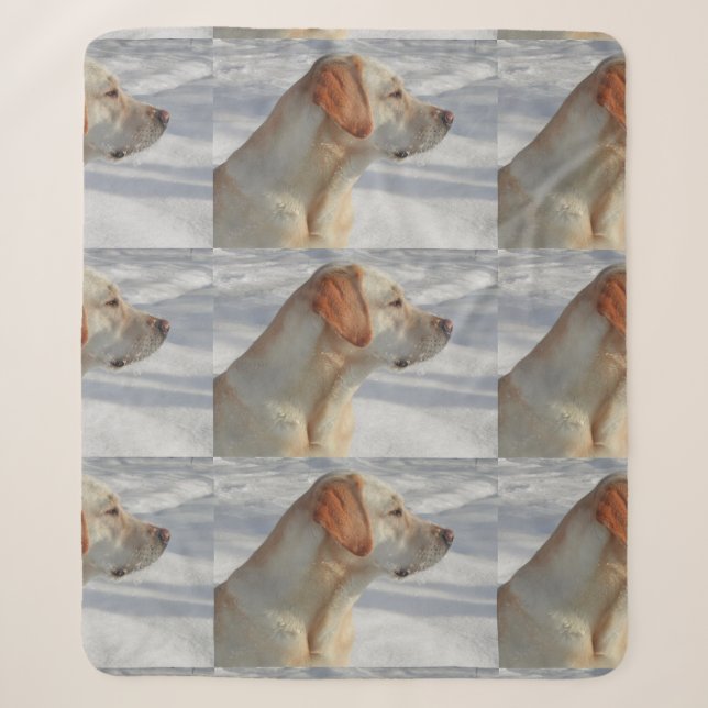 yellow 4 lab sherpa blanket (Front)