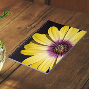 Yellow African Daisy on Black Floral Notebook