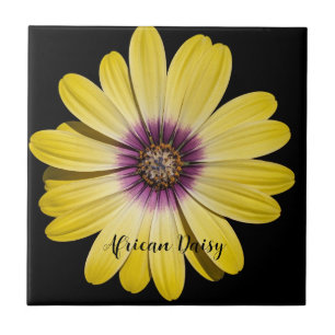 Yellow African Daisy on Black Floral Tile