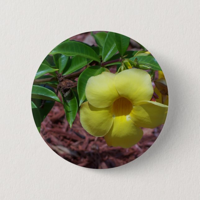 Yellow Alamanda flower 6 Cm Round Badge (Front)