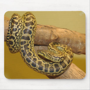 Yellow Anaconda Mouse Mat