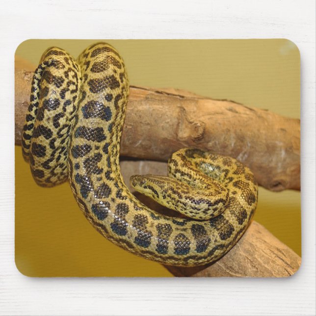 Yellow Anaconda Mouse Mat (Front)