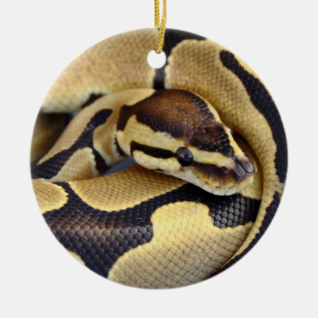 Yellow and Black Ball Python 3 Ceramic Tree Decoration (Front)