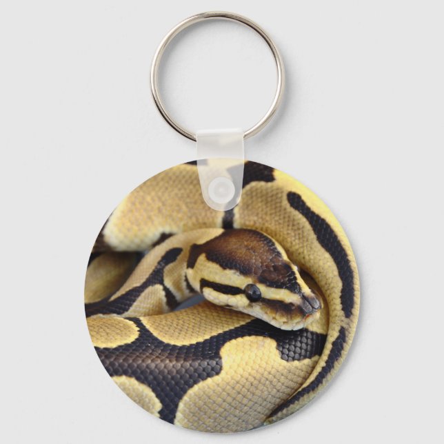 Yellow and Black Ball Python 3 Key Ring (Front)